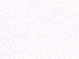 PP98