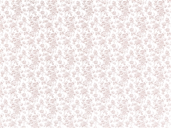 PP272